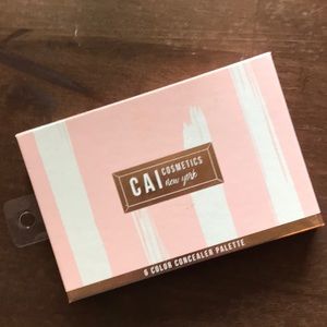 Concealer Palette